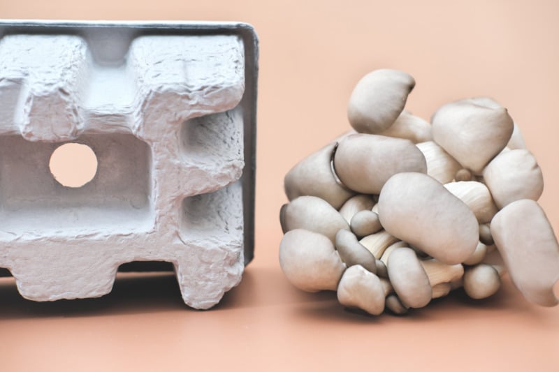 Packaging made from Mushroom for biodegradable package
