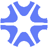 AAP Inc. logo