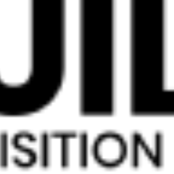 BGSX Inc. logo