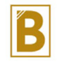 BSN Inc. logo