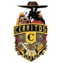 CHS logo