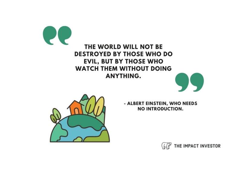 Albert Einstein Sustainability Quotes