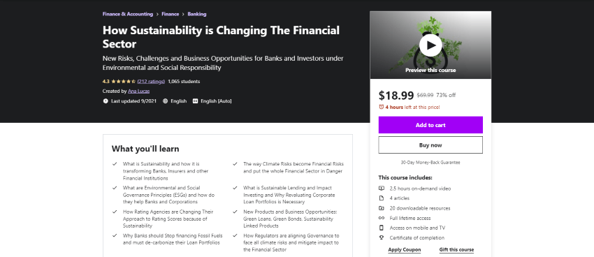 How Sustainability is Changing the Financial Sector Course