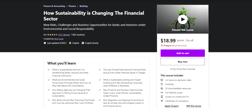 How Sustainability is Changing the Financial Sector Online Course