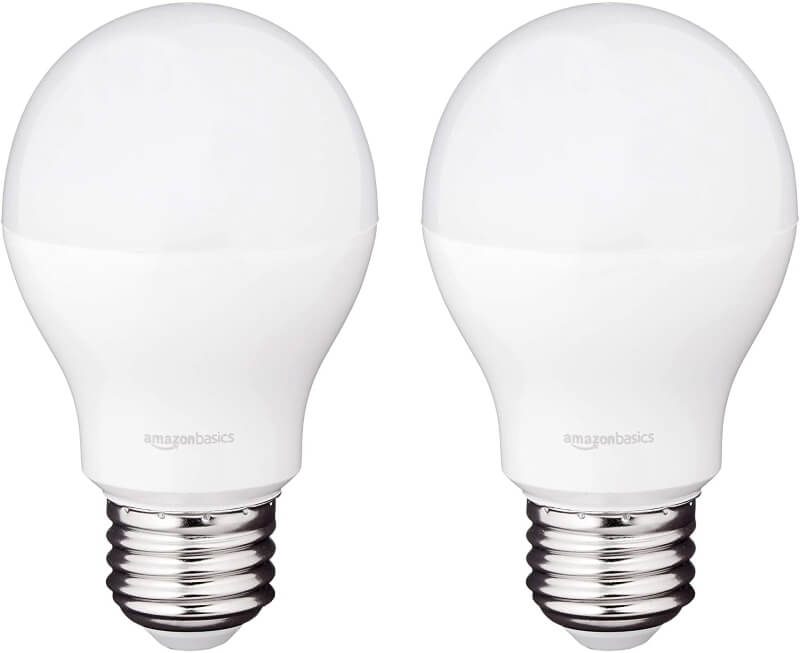 Two LED Light Bulbs