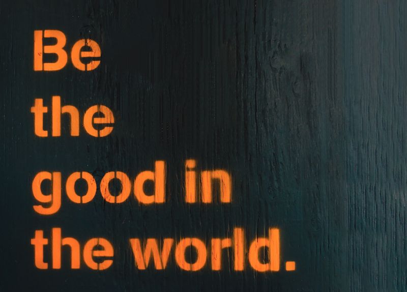 Be The Good in the World. Quote