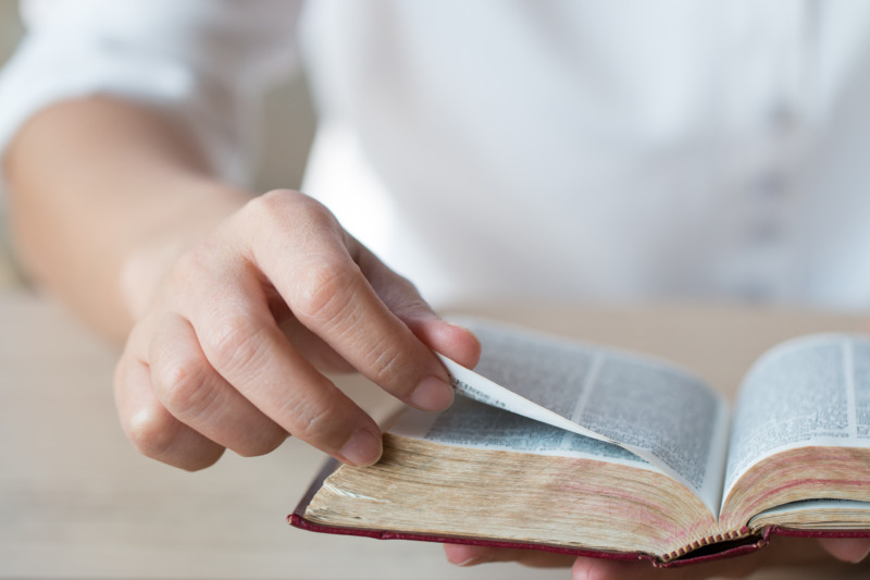 Woman reading and holding a holy bible