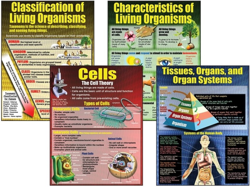 Living Organisms Teaching Poster Set