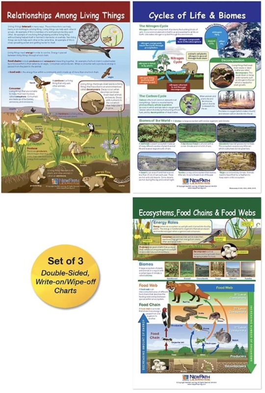 Ecology Bulletin Board Chart Set