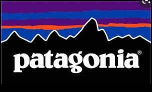 Patagonia logo