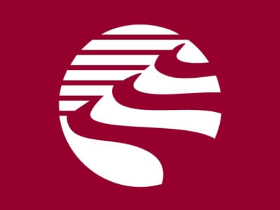 Southern Copper Corporation Logo