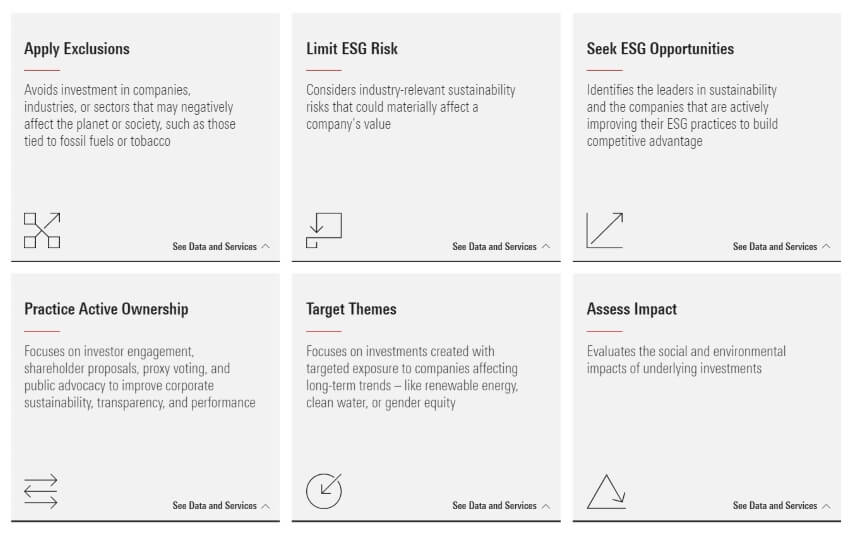 Morningstar Sustainable Approaches in Investing