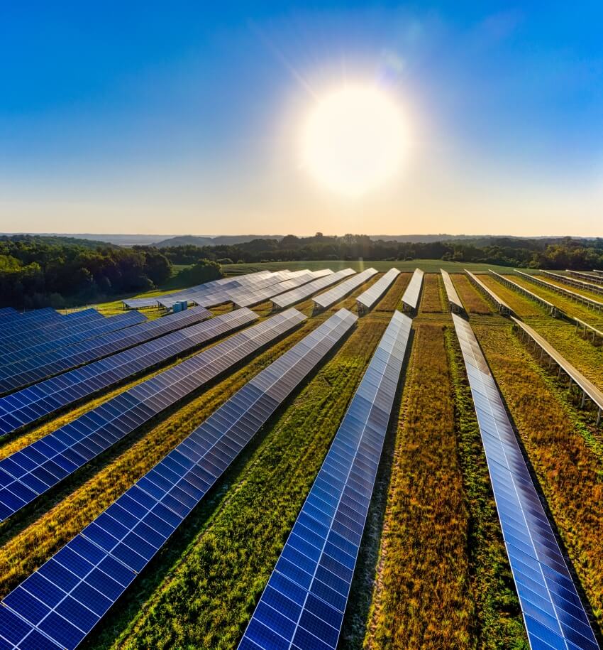 Field Full of Solar Panels