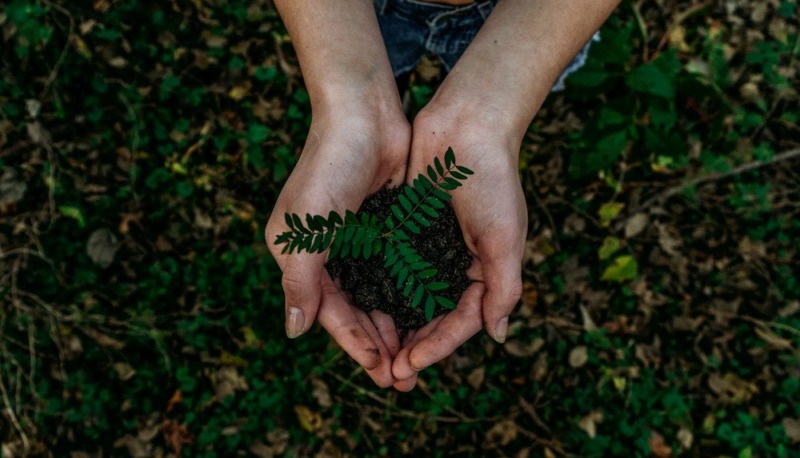 hands holding soil with a plant