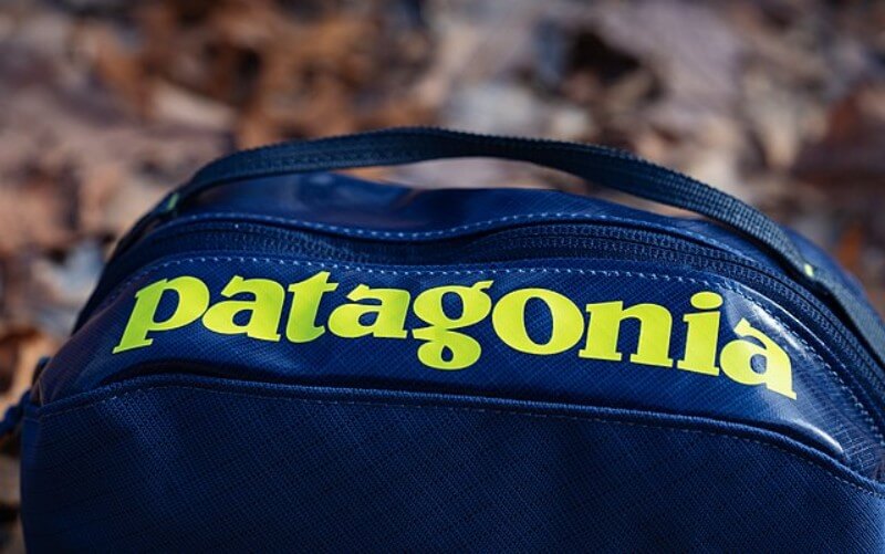 Patagonia bag for travel