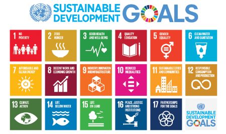 UN Sustainable Development Goals Logo