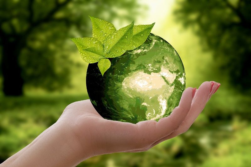 Nature sustainability, corporate, social responsibility