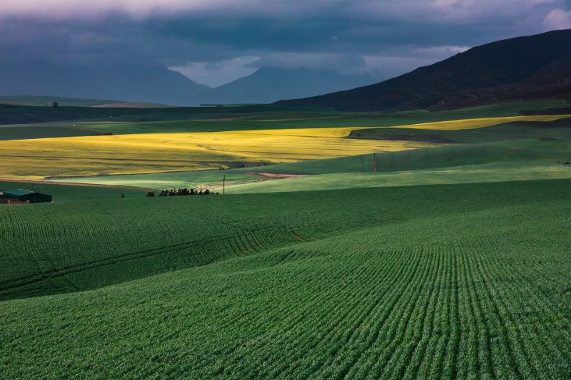 Farm Scenery