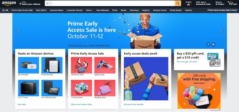 Amazon Inc. Website