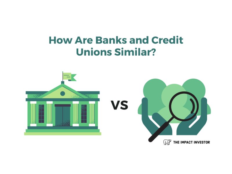 Banks and Credit Unions Similarities