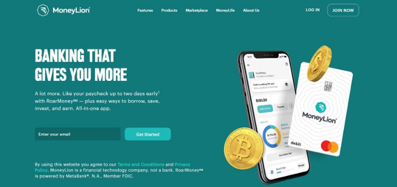 MoneyLion Website