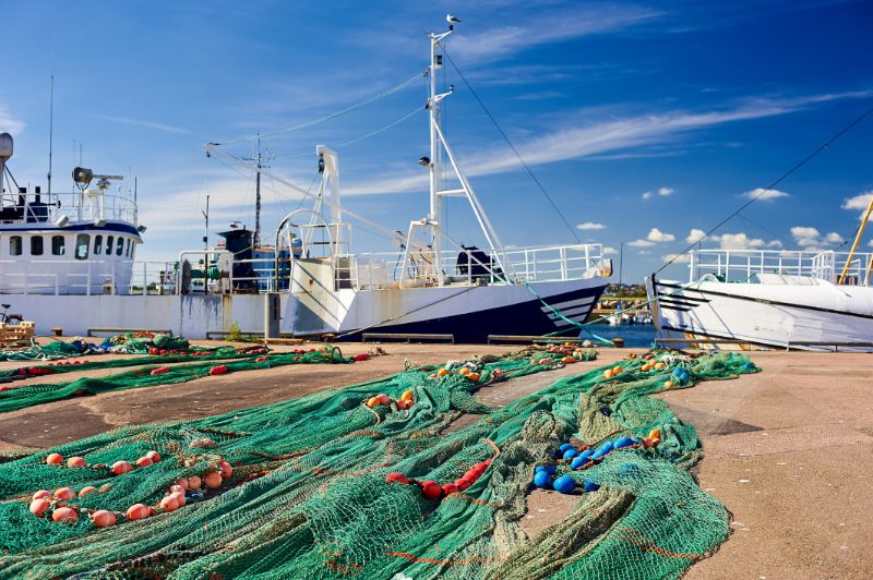 Ships Bottom Trawling Equipement