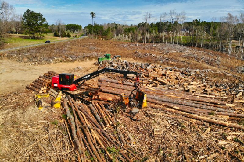 Logging Site