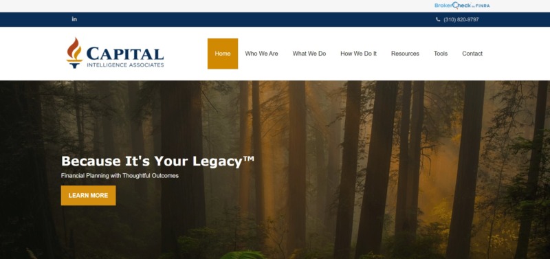 Capital Intelligence Associates Homepage