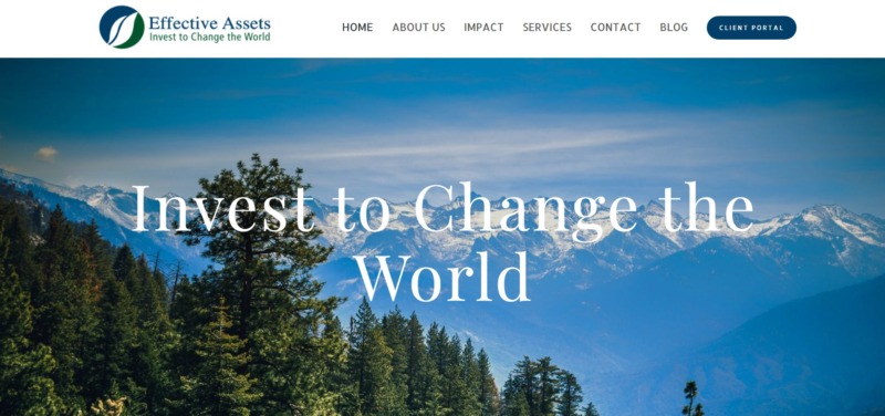 Effective Assets Homepage