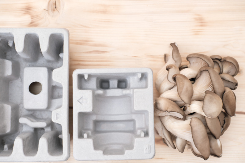 Packaging made from Mushroom for environmental friendly packaging