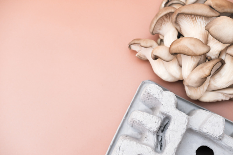 Packaging made form Mushroom