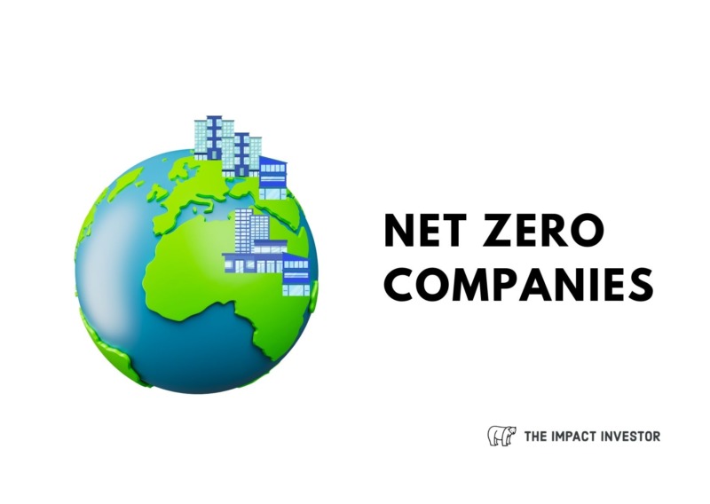 Net Zero Companies Graphics