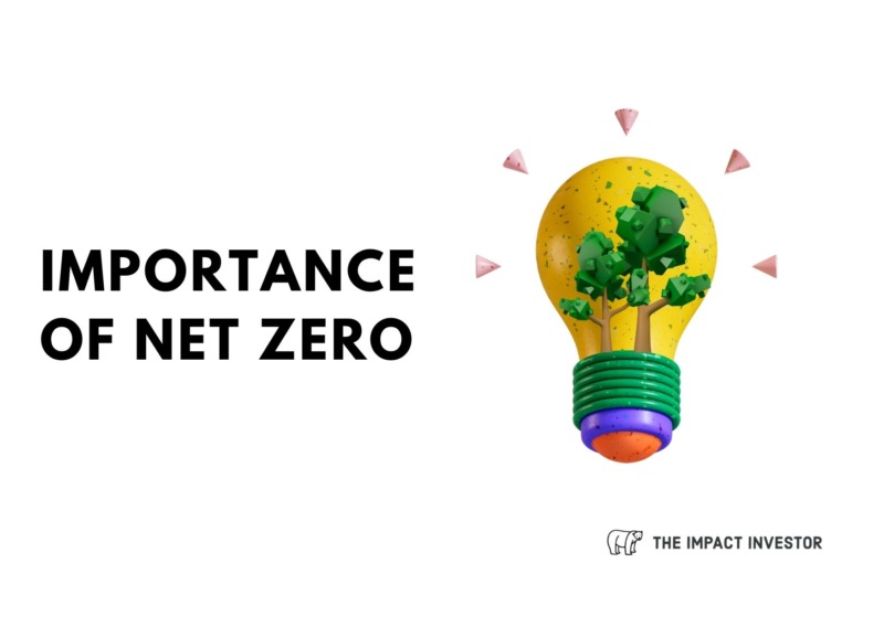 Importance of Net Zero