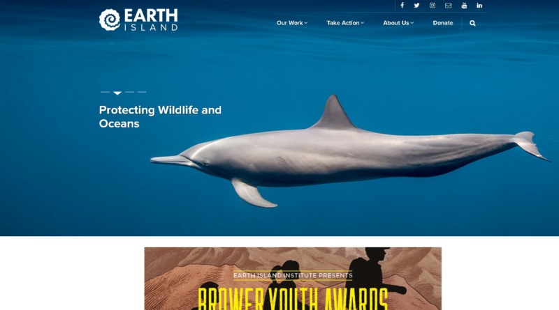 Earth Island Institute Website