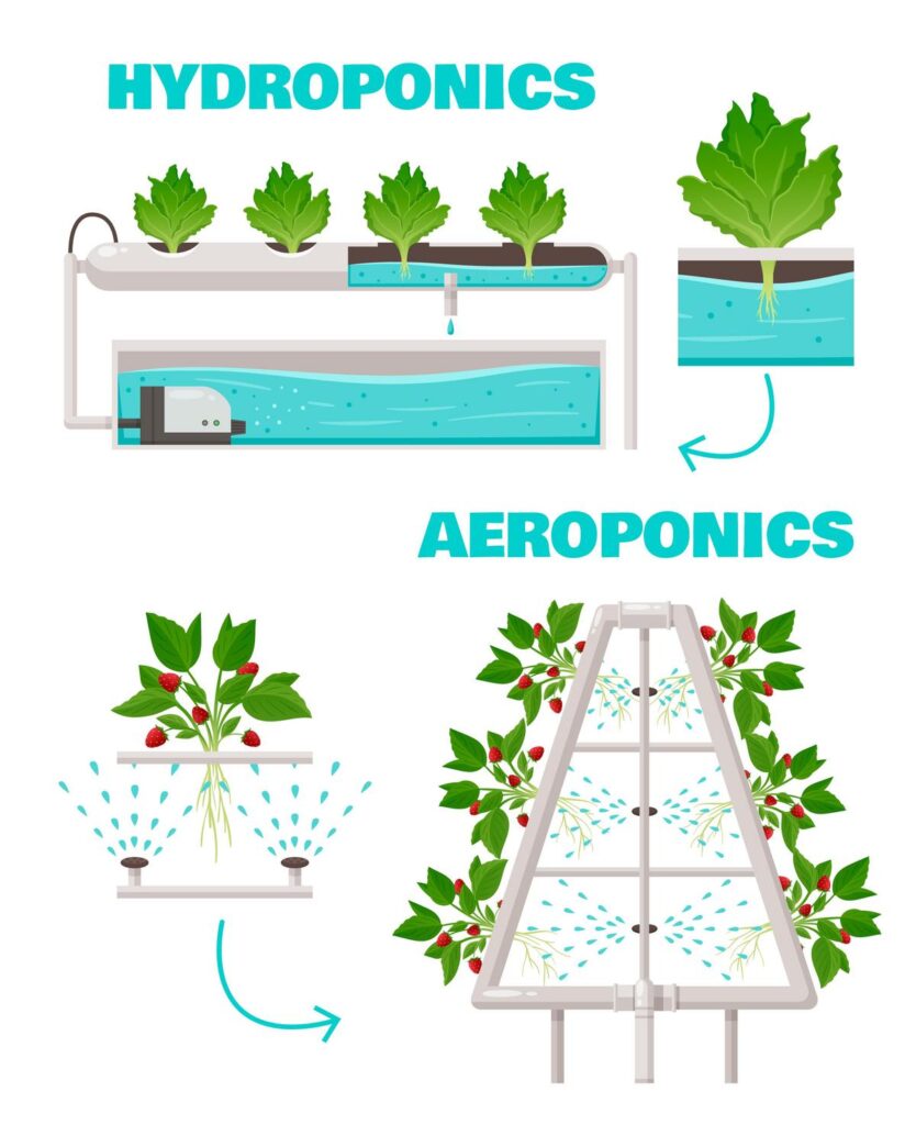 Hydroponics vs. aeroponics systems with leafy greens and plants for sustainable agriculture.