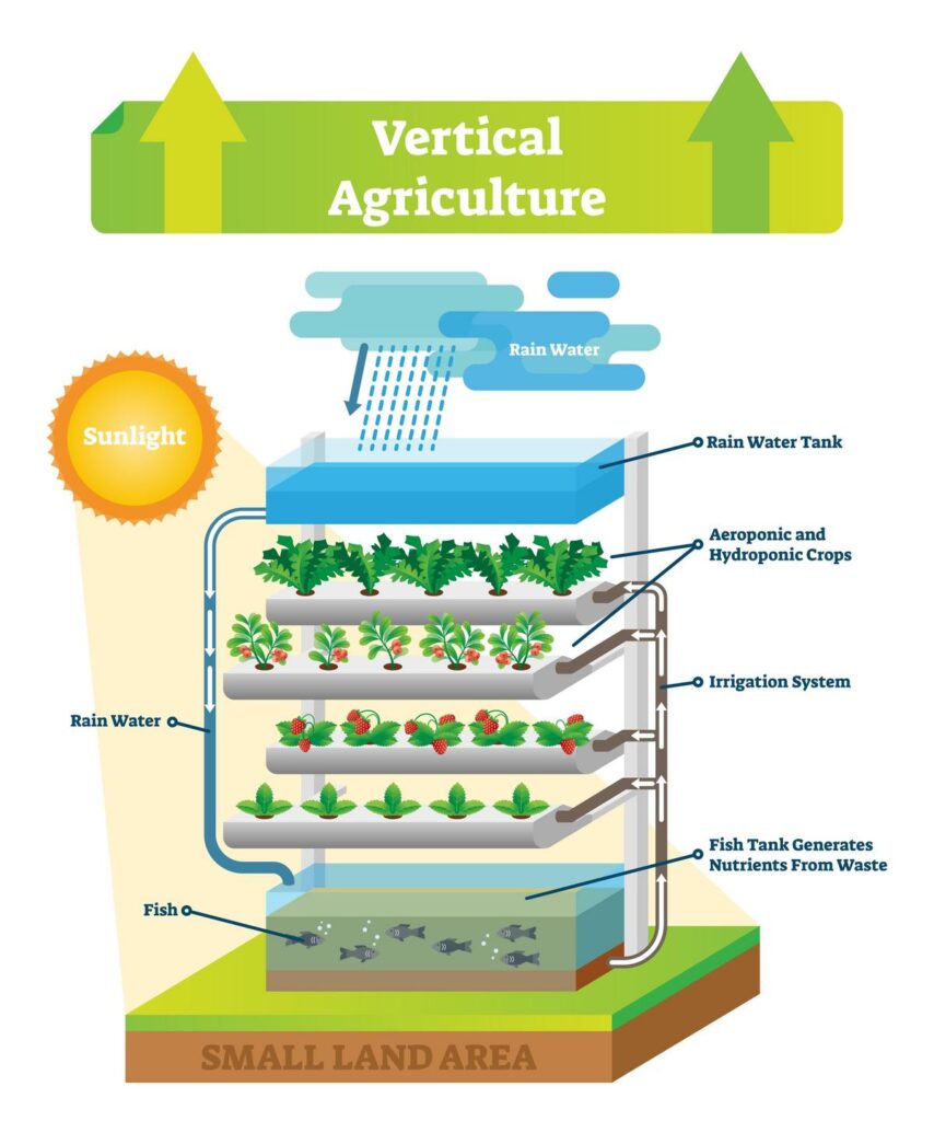 Sustainable vertical farming with hydroponics, aeroponics, and aquaculture systems on small land space.